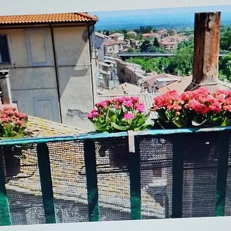 Appartement La Casa Del Sole à Caprarola Extérieur photo