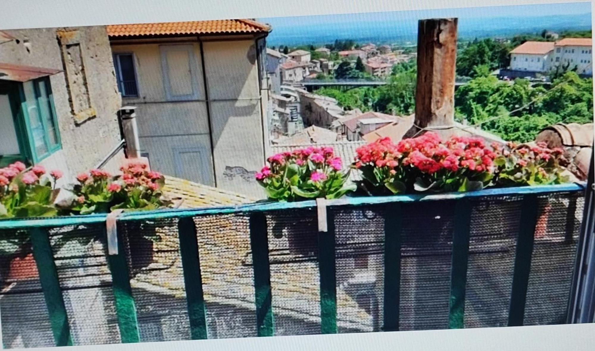 Appartement La Casa Del Sole à Caprarola Extérieur photo